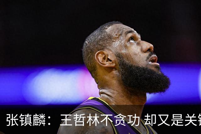 张镇麟：王哲林不贪功 却又是关键时刻能站出来的人 队长当之无愧