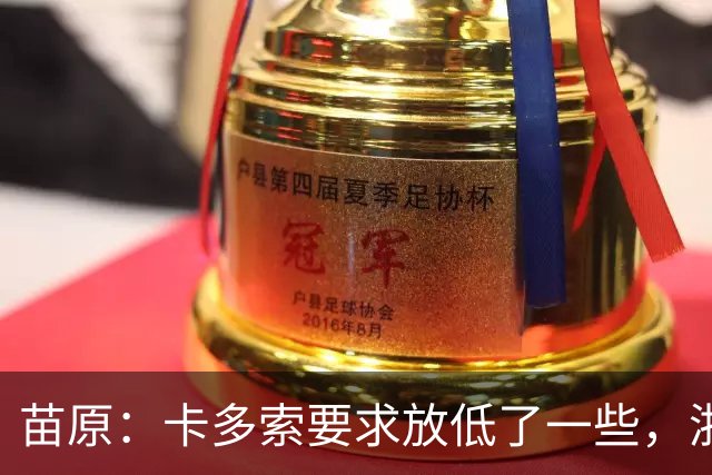 苗原：卡多索要求放低了一些，浙江队稳步推进中