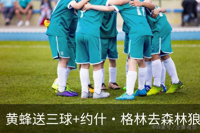 黄蜂送三球+约什·格林去森林狼 换里德+1首轮+3互换+3次轮